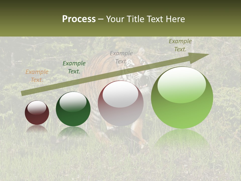 Profile Hungry Jungle PowerPoint Template