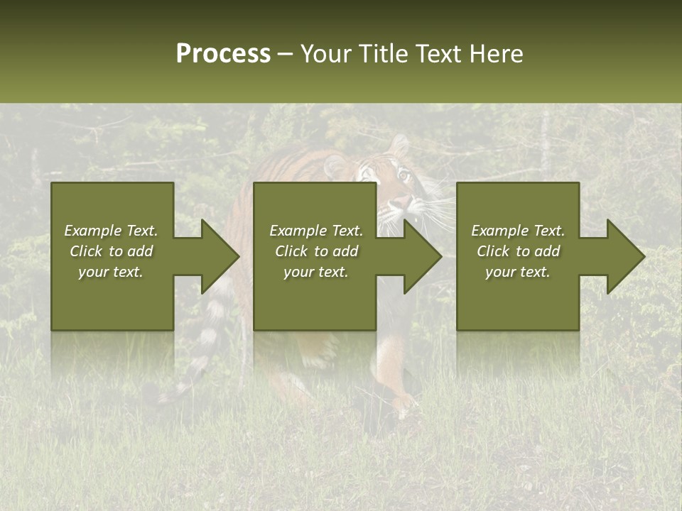 Profile Hungry Jungle PowerPoint Template