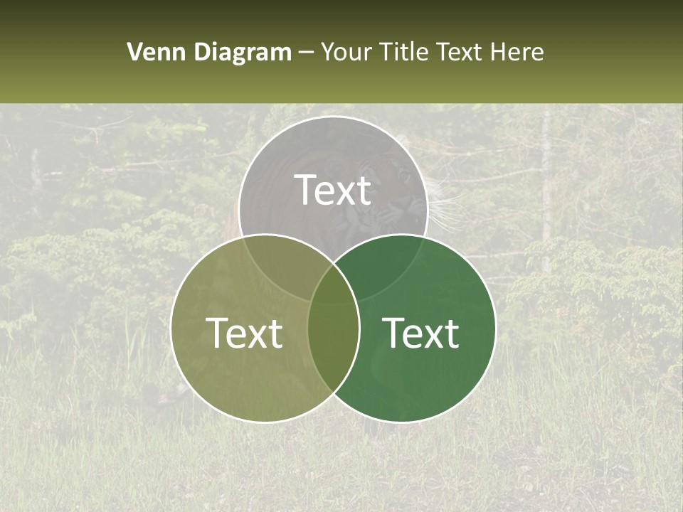 Profile Hungry Jungle PowerPoint Template