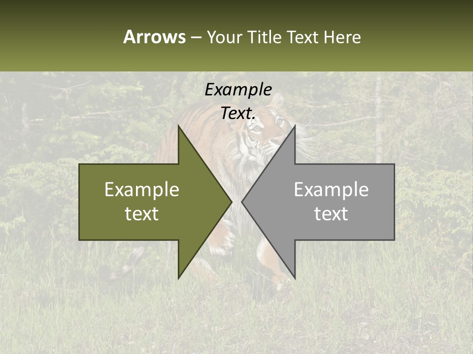 Profile Hungry Jungle PowerPoint Template