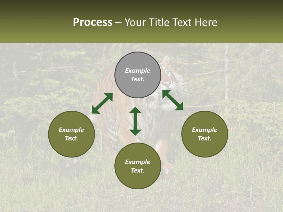 Profile Hungry Jungle PowerPoint Template