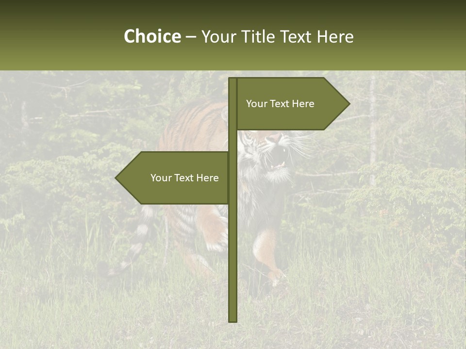 Profile Hungry Jungle PowerPoint Template