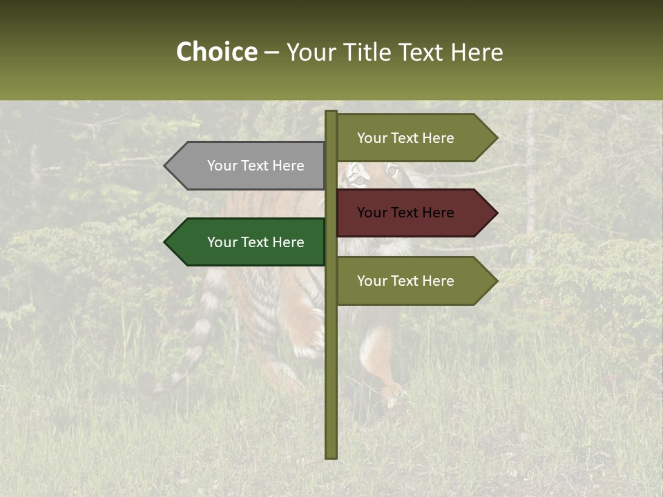 Profile Hungry Jungle PowerPoint Template