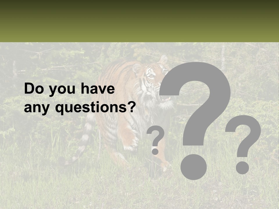 Profile Hungry Jungle PowerPoint Template