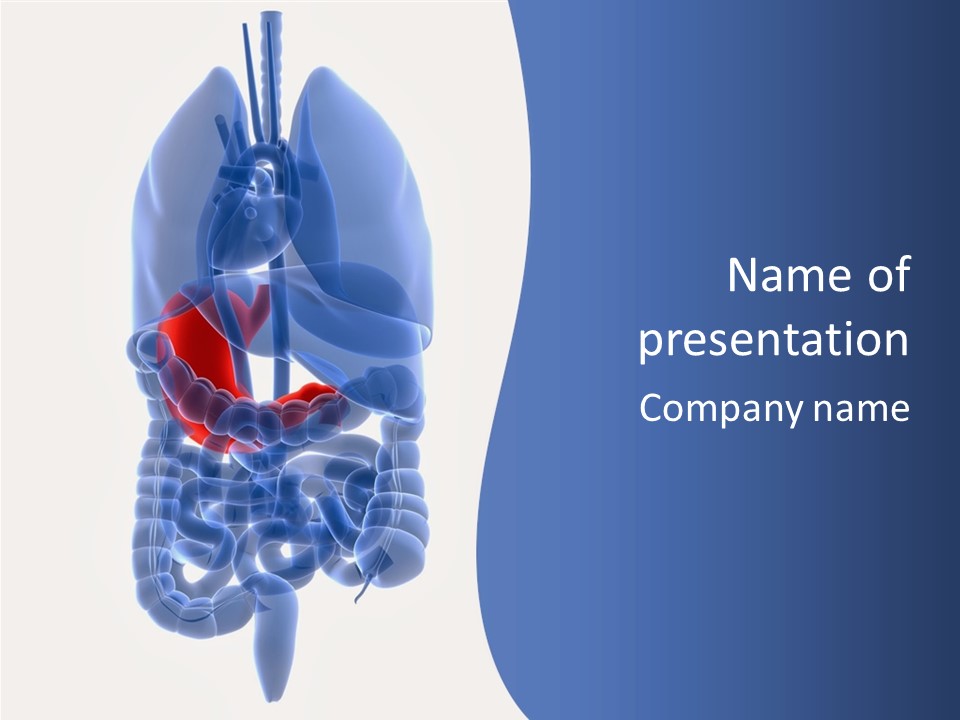 Stomach Body Internal PowerPoint Template