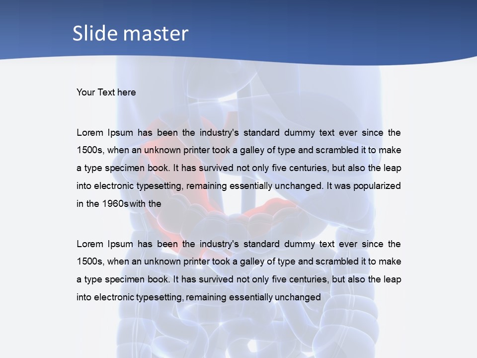 Stomach Body Internal PowerPoint Template