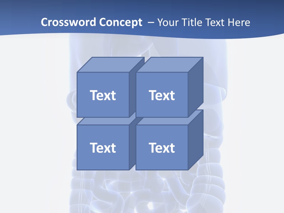Stomach Body Internal PowerPoint Template