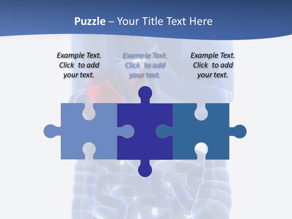 Stomach Body Internal PowerPoint Template