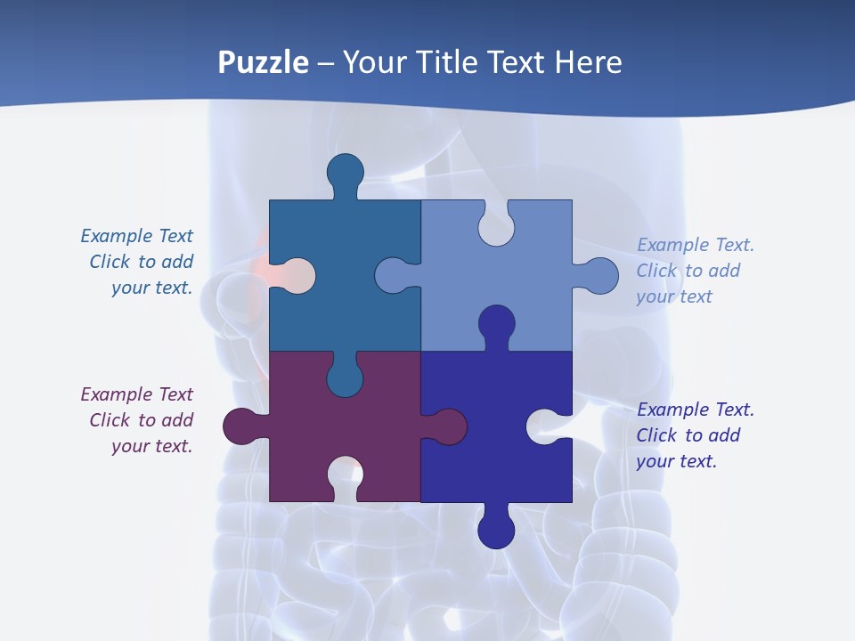 Stomach Body Internal PowerPoint Template