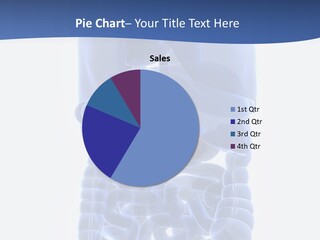 Stomach Body Internal PowerPoint Template