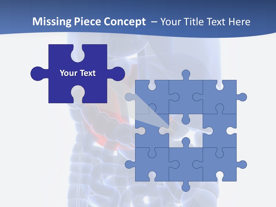 Stomach Body Internal PowerPoint Template