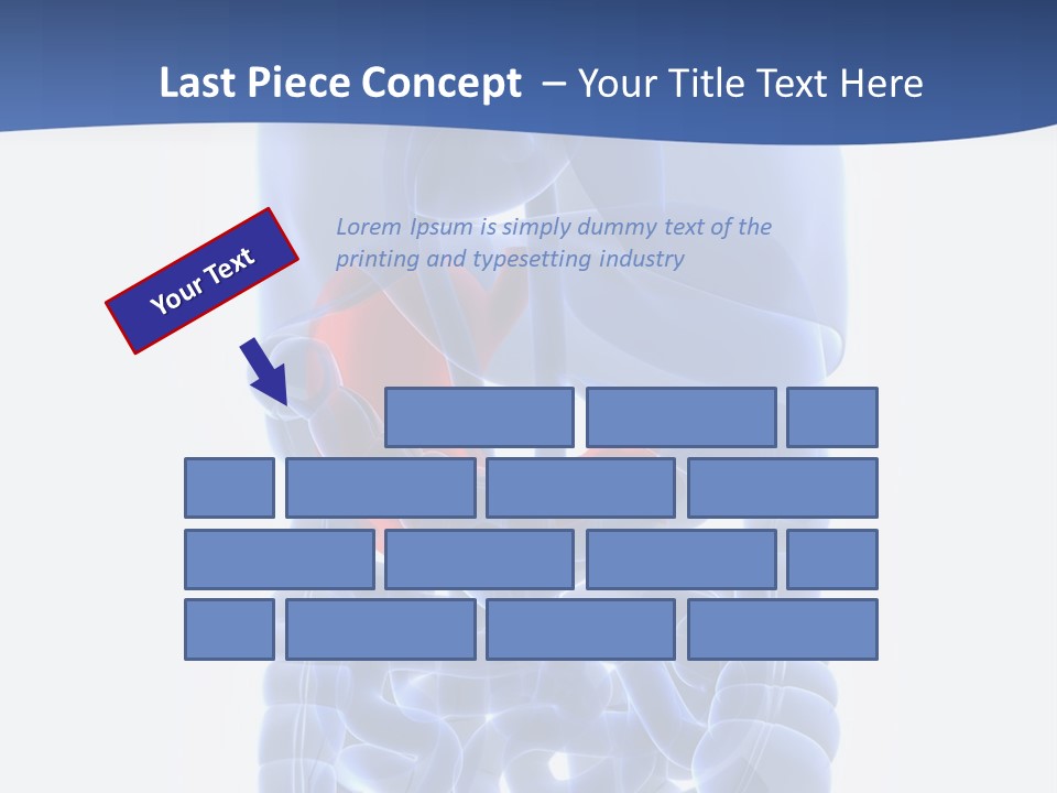 Stomach Body Internal PowerPoint Template