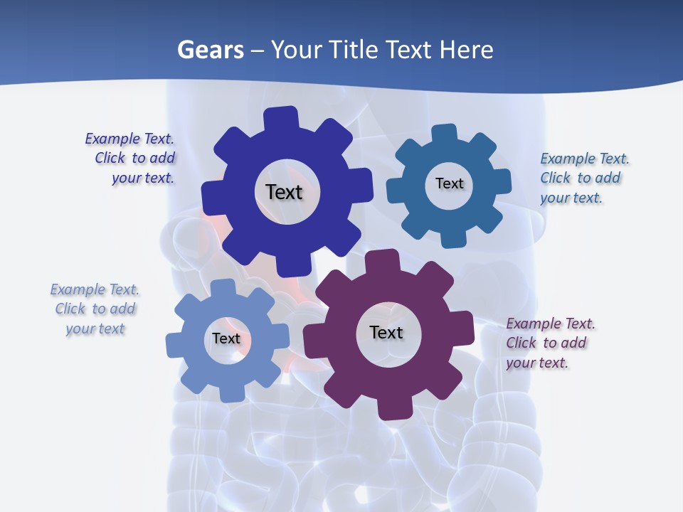 Stomach Body Internal PowerPoint Template