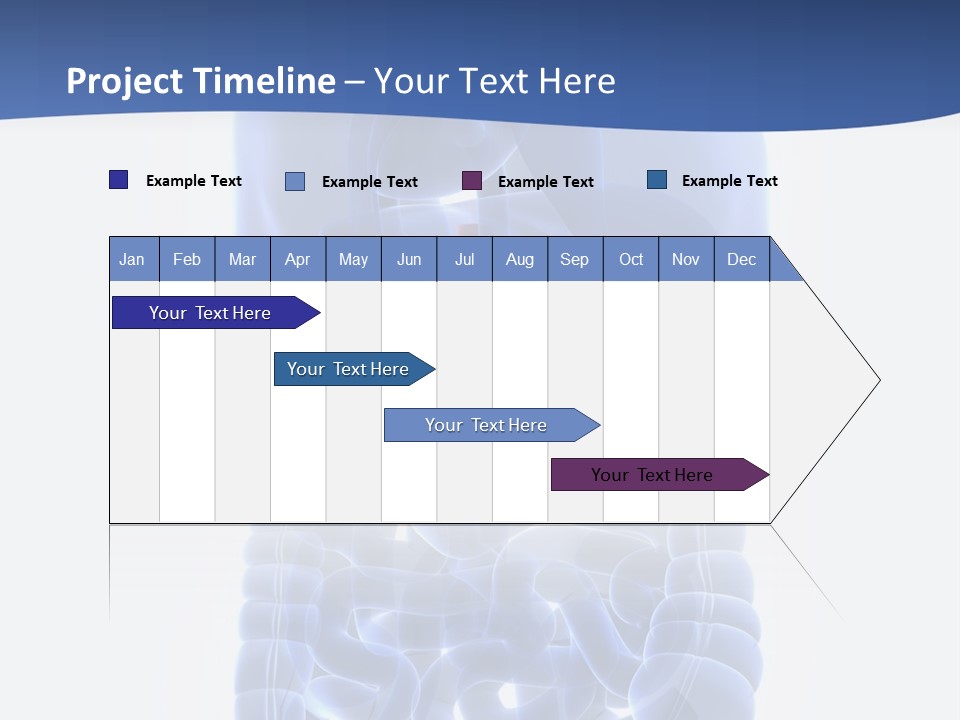 Stomach Body Internal PowerPoint Template
