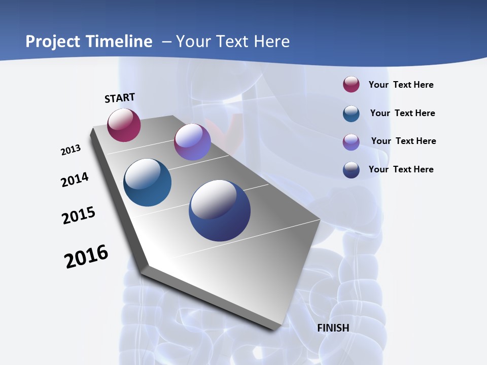 Stomach Body Internal PowerPoint Template