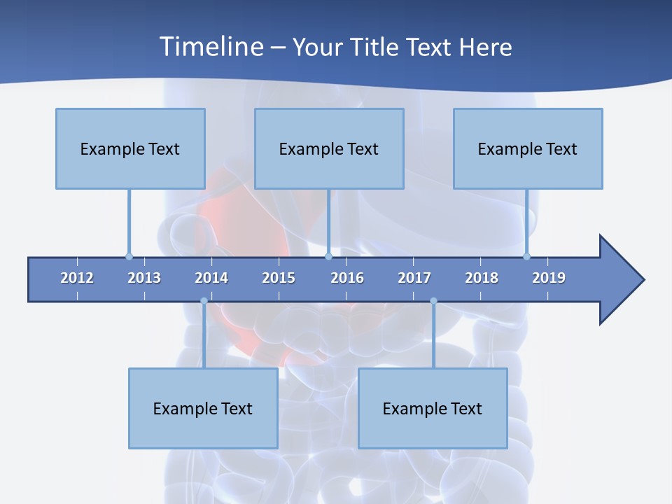 Stomach Body Internal PowerPoint Template