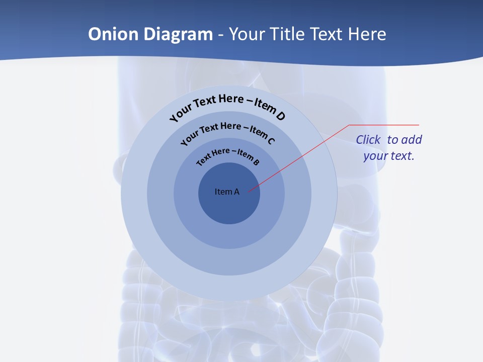 Stomach Body Internal PowerPoint Template