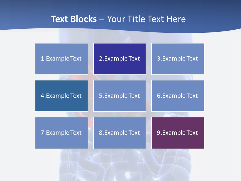 Stomach Body Internal PowerPoint Template