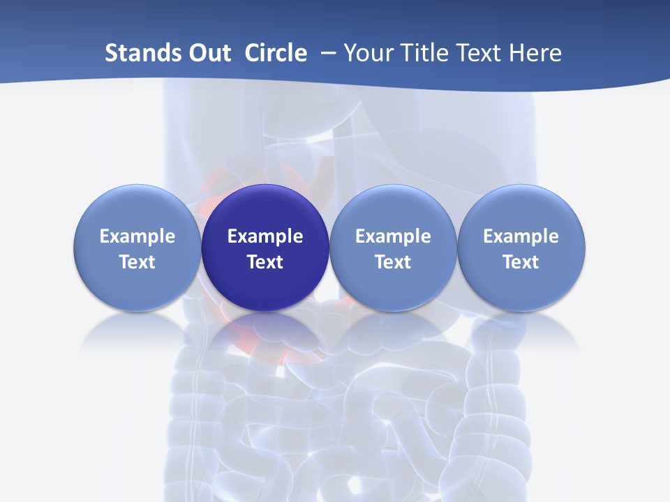 Stomach Body Internal PowerPoint Template