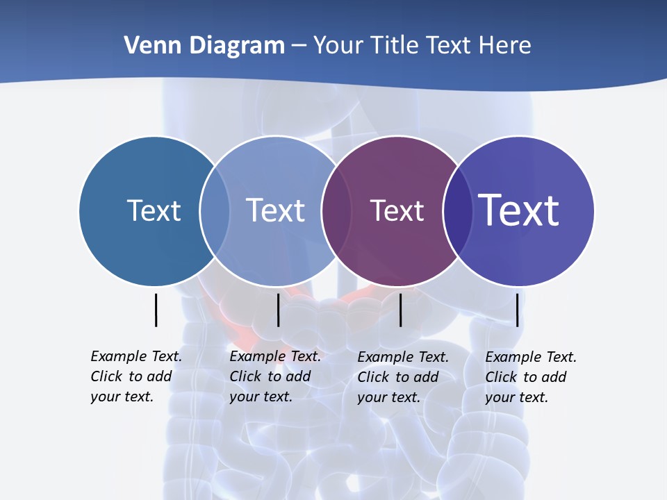 Stomach Body Internal PowerPoint Template