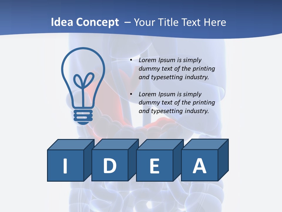 Stomach Body Internal PowerPoint Template
