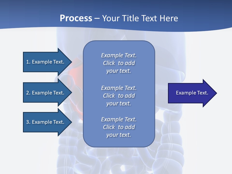Stomach Body Internal PowerPoint Template