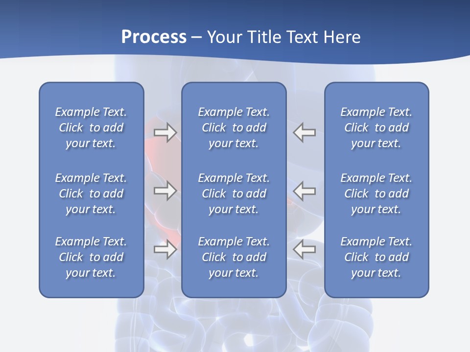 Stomach Body Internal PowerPoint Template