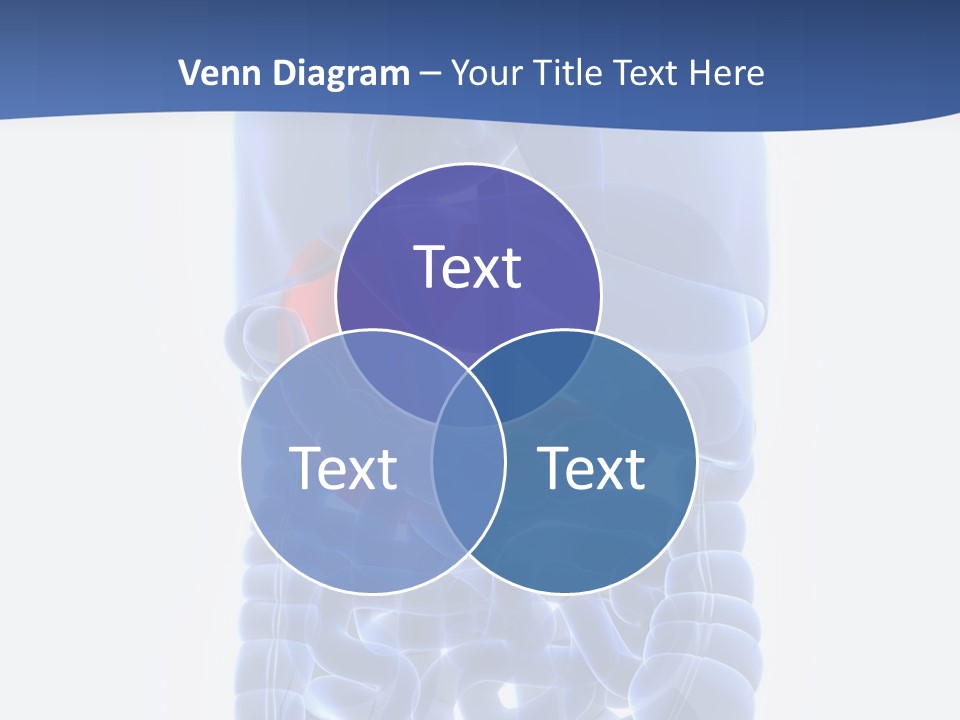Stomach Body Internal PowerPoint Template