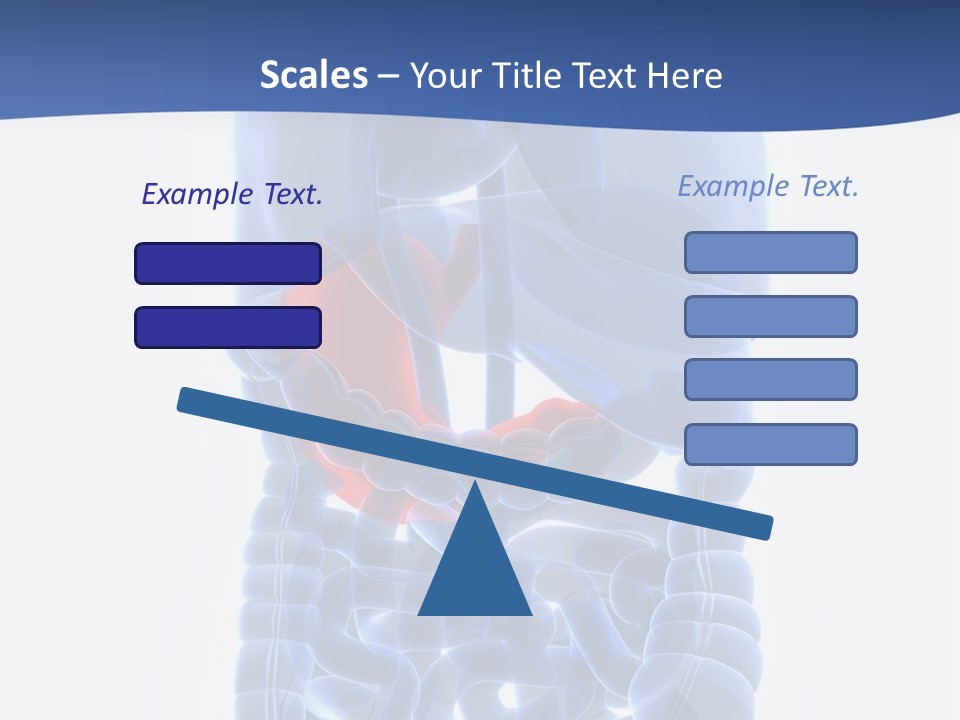 Stomach Body Internal PowerPoint Template