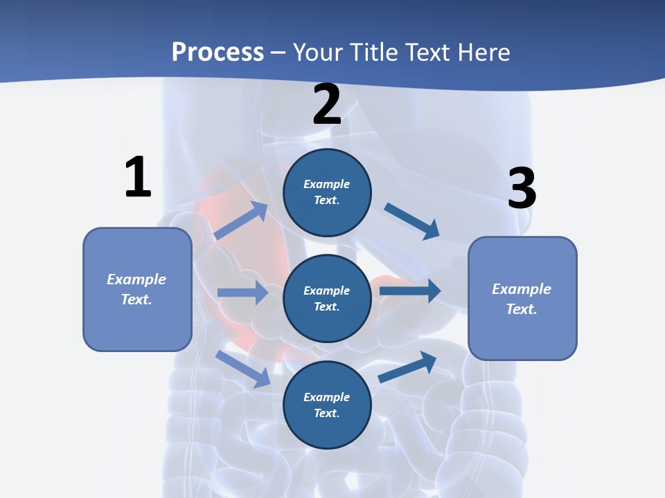 Stomach Body Internal PowerPoint Template