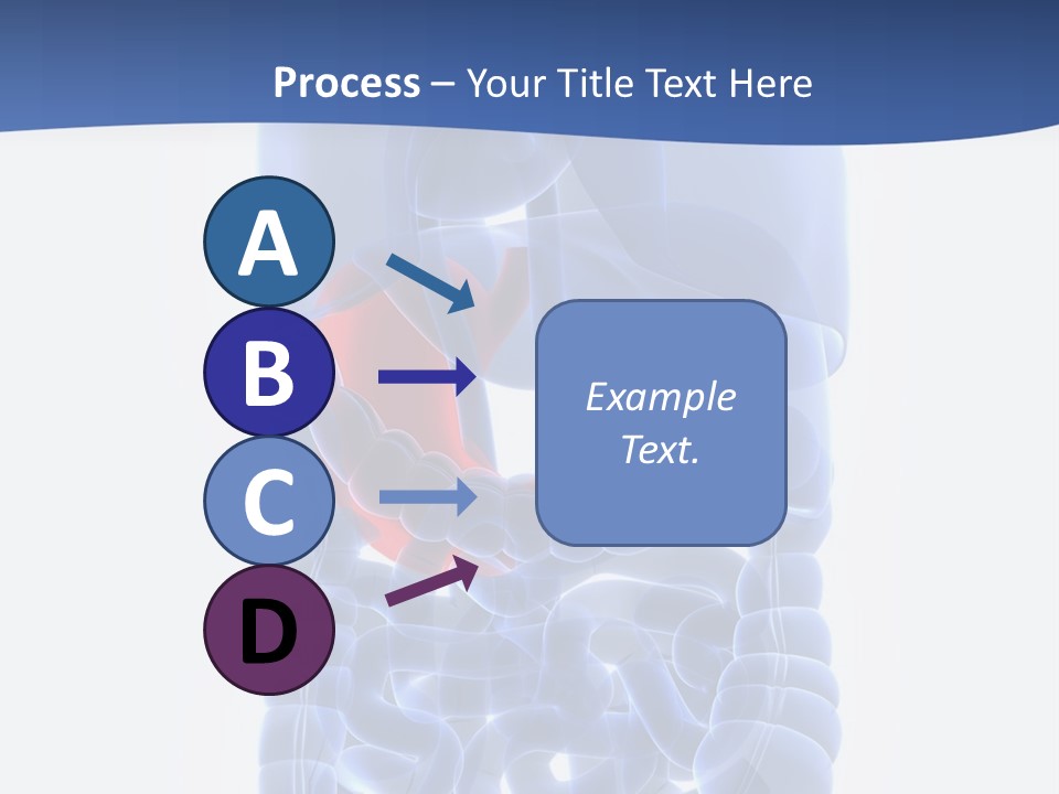 Stomach Body Internal PowerPoint Template