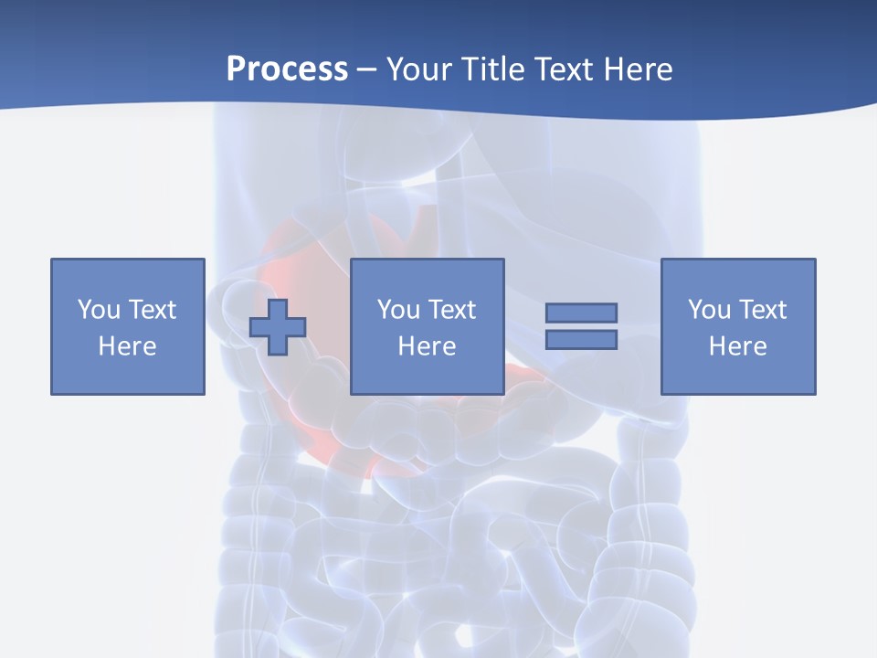 Stomach Body Internal PowerPoint Template