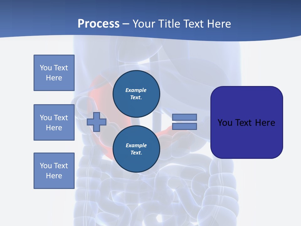 Stomach Body Internal PowerPoint Template