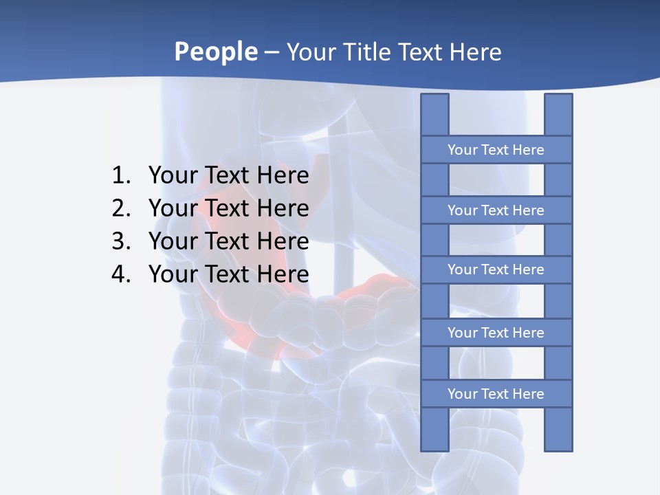 Stomach Body Internal PowerPoint Template