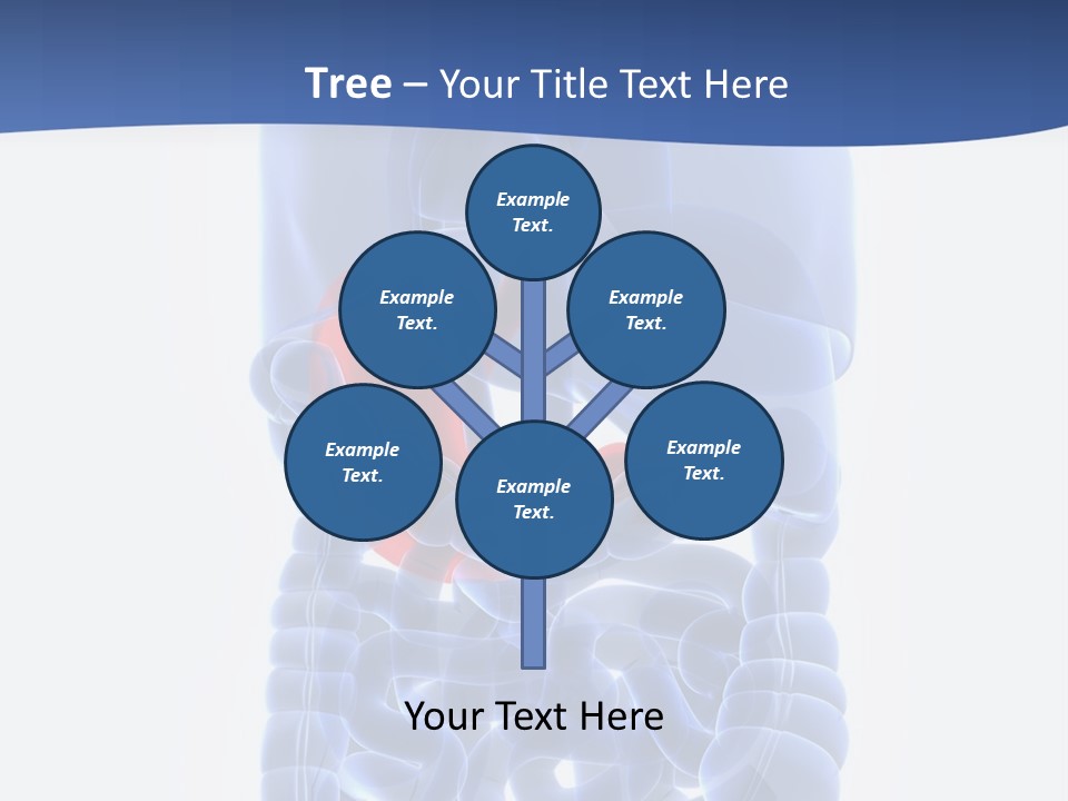Stomach Body Internal PowerPoint Template