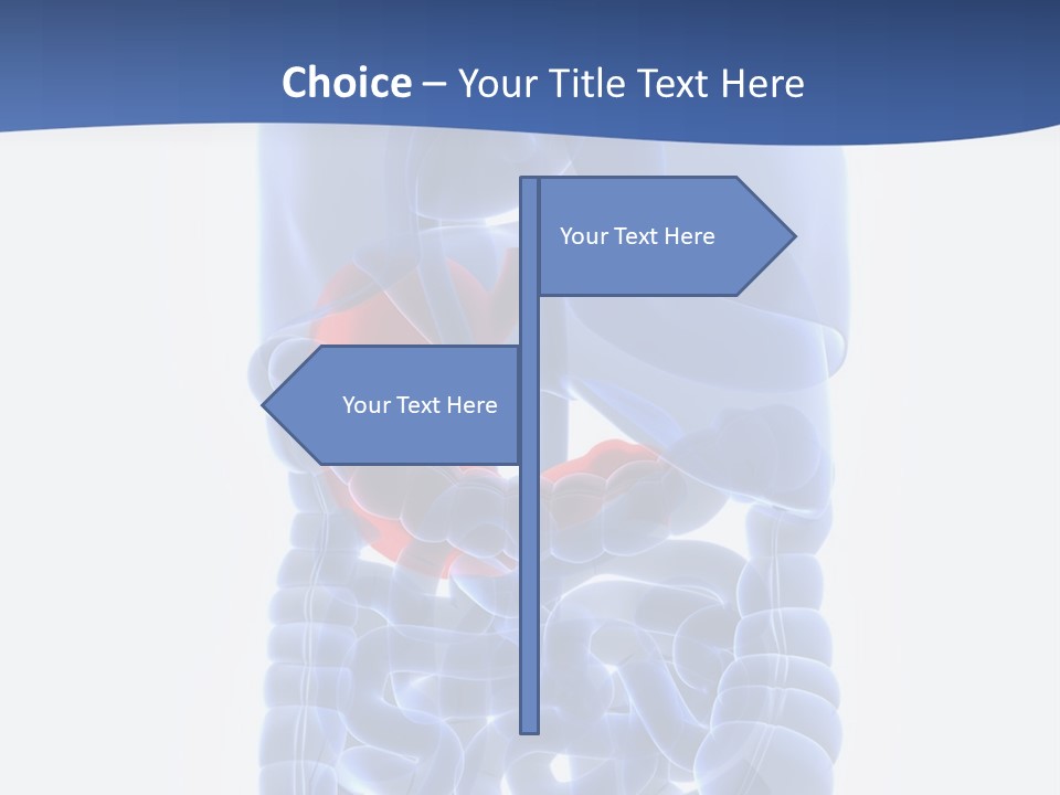 Stomach Body Internal PowerPoint Template