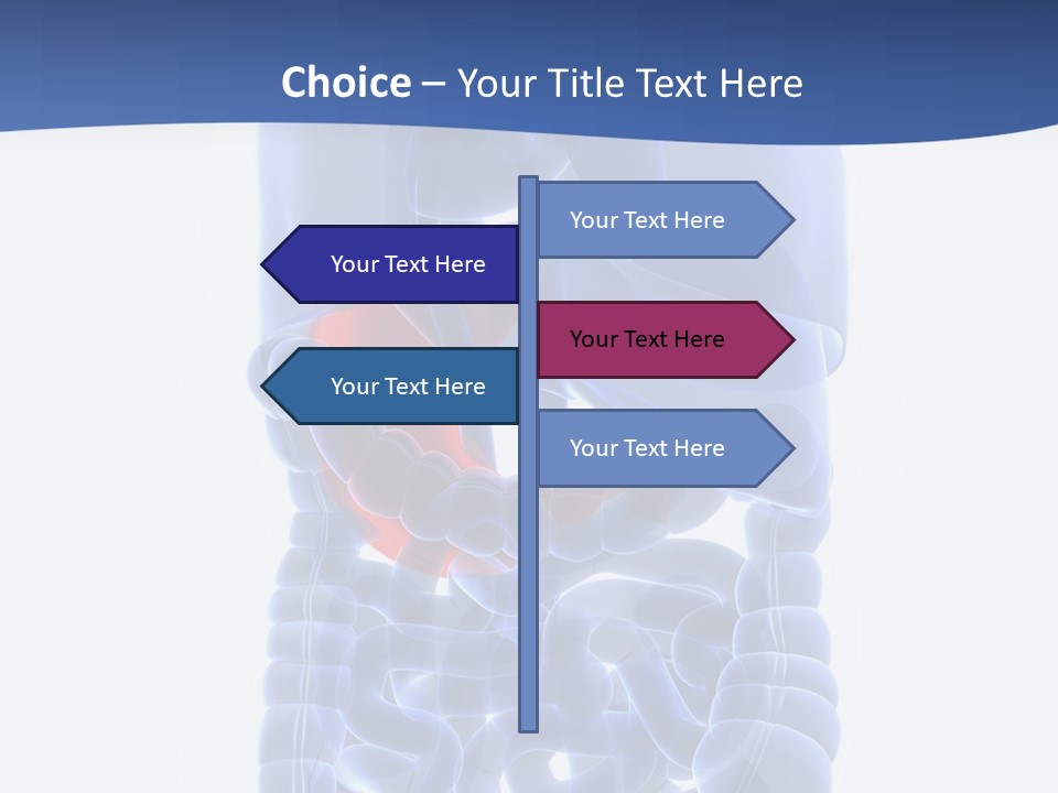 Stomach Body Internal PowerPoint Template