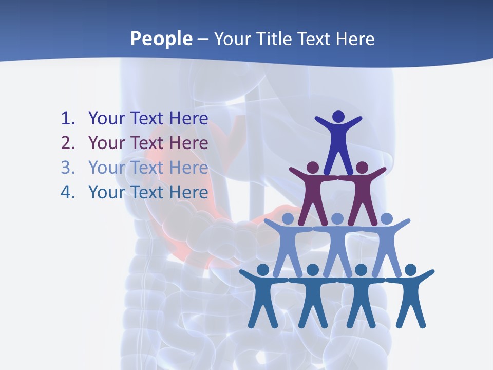 Stomach Body Internal PowerPoint Template