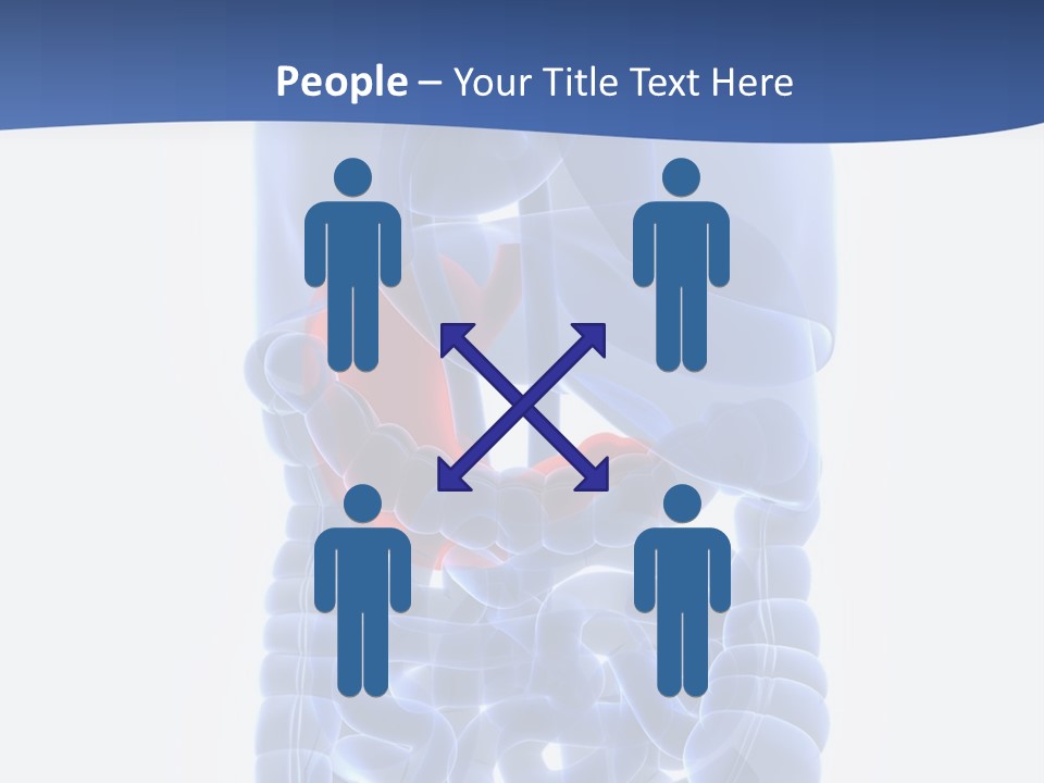 Stomach Body Internal PowerPoint Template