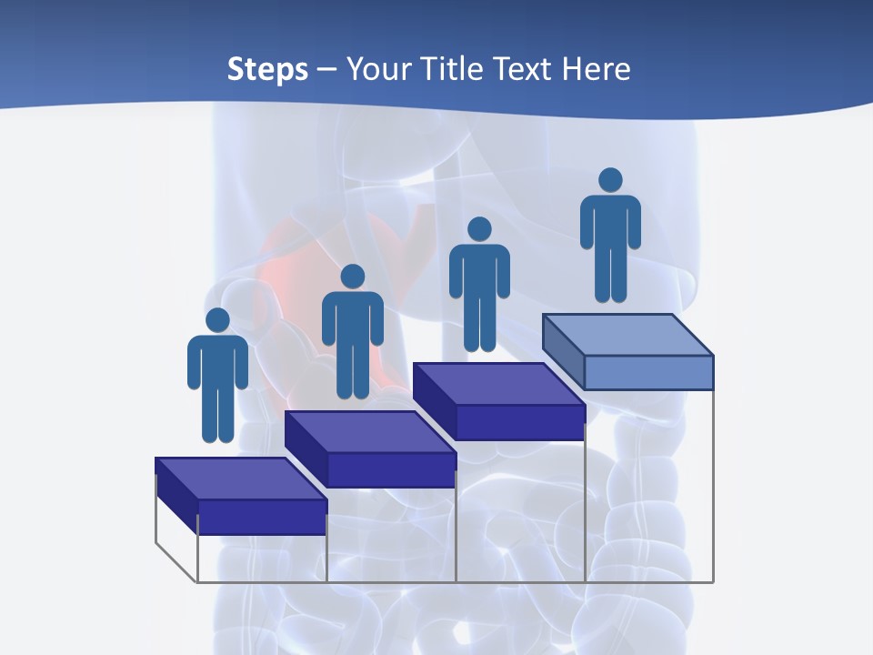 Stomach Body Internal PowerPoint Template