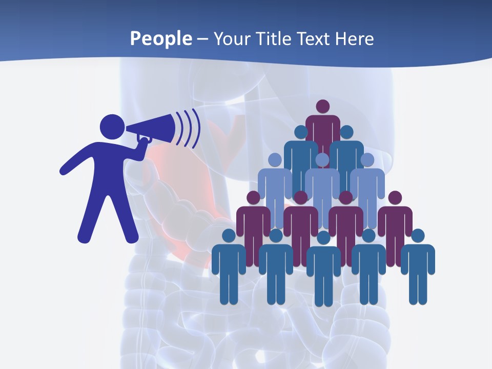 Stomach Body Internal PowerPoint Template