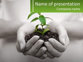 Agriculture Woman Palm PowerPoint Template