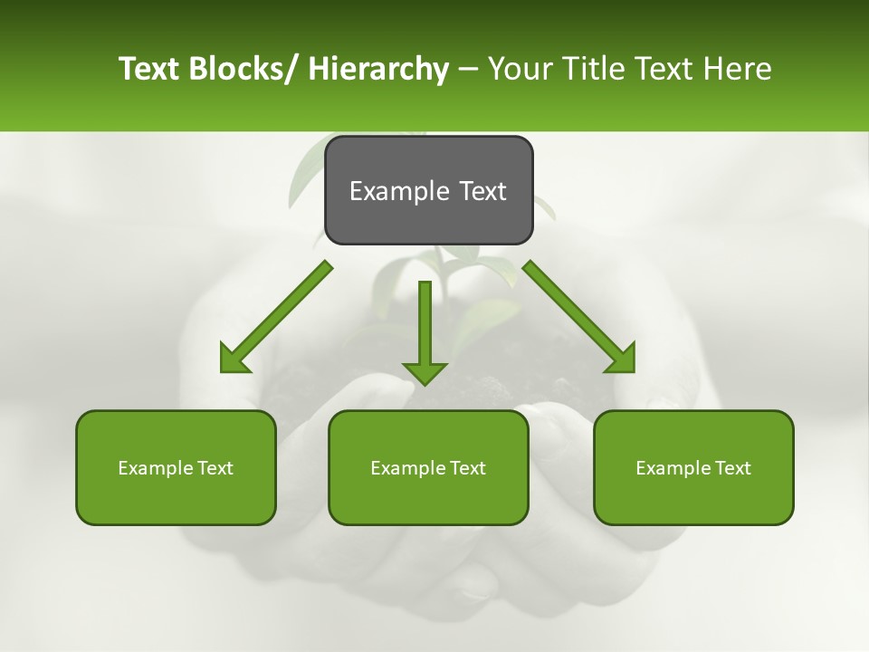 Agriculture Woman Palm PowerPoint Template