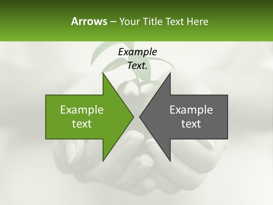 Agriculture Woman Palm PowerPoint Template