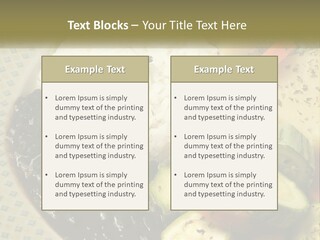 Place Vegetable Beans PowerPoint Template