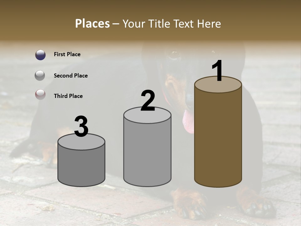 Lying Goodnatured Dog PowerPoint Template