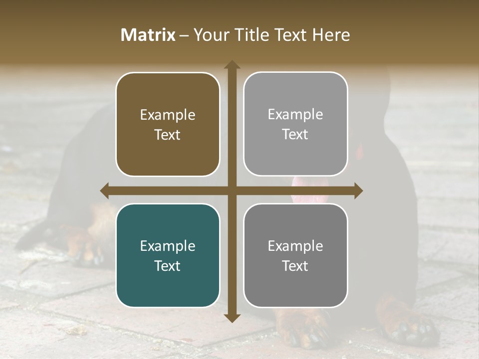 Lying Goodnatured Dog PowerPoint Template