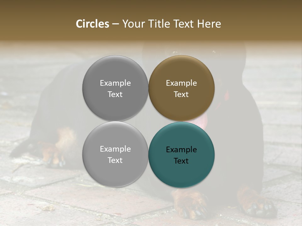 Lying Goodnatured Dog PowerPoint Template