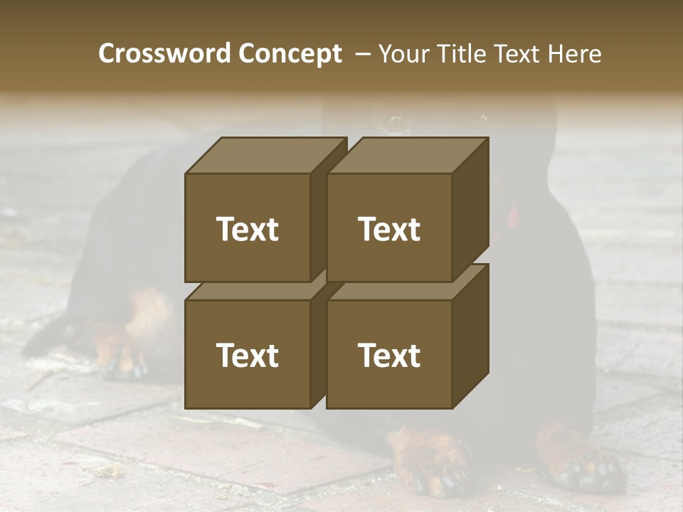 Lying Goodnatured Dog PowerPoint Template