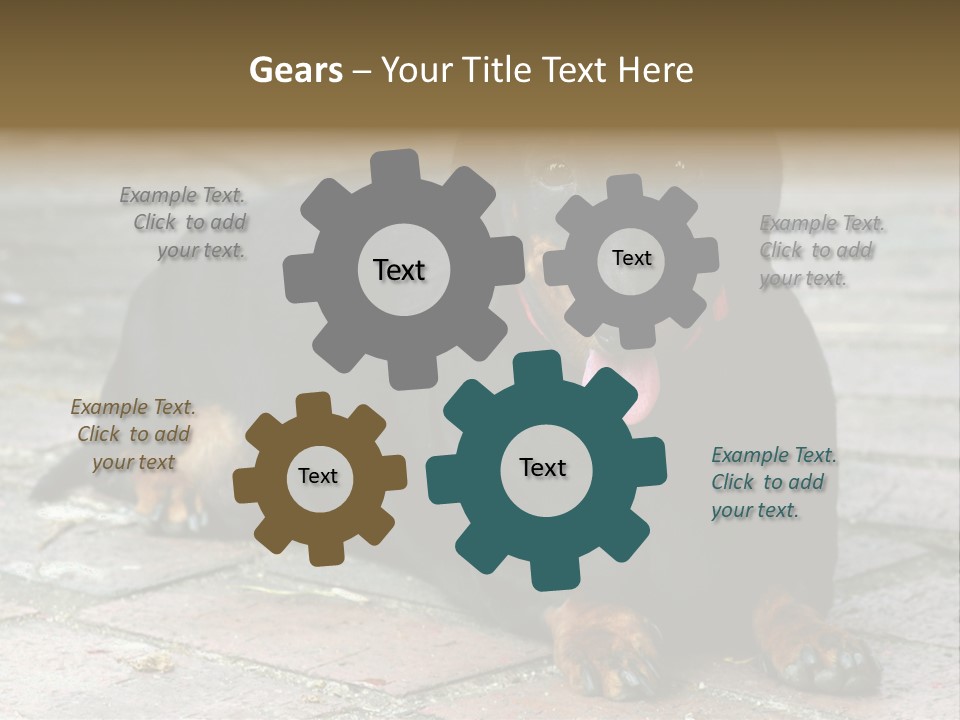 Lying Goodnatured Dog PowerPoint Template